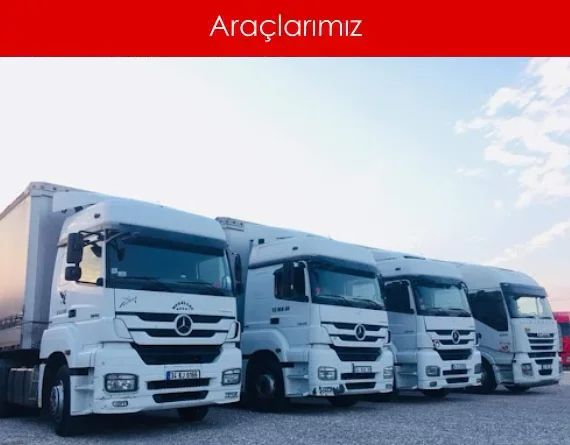 araçlar